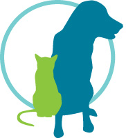 Veterinary & Animal Surgery Care Center Lynnwood, Mukilteo WA by Dr. Beatty