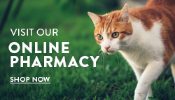 Online Pharmacy button